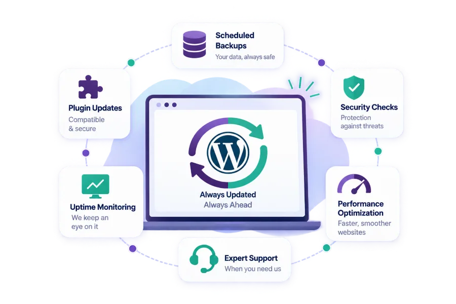 WordPress AMC Dubai